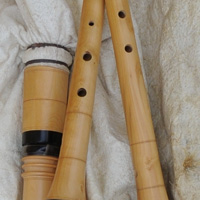 samponha-detail